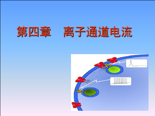 第四章 离子通道电流