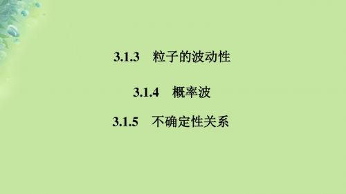 2018_2019学年高考物理主题三粒子的波动性概率波不确定性关系课件新人教版