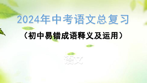 2024年中考语文总复习： 初中易错成语释义及运用 课件(共17张PPT)