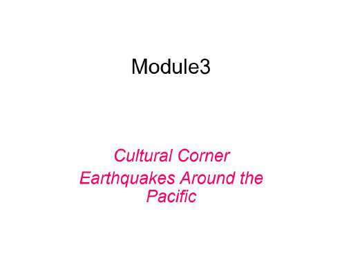 高二英语Cultural课件3