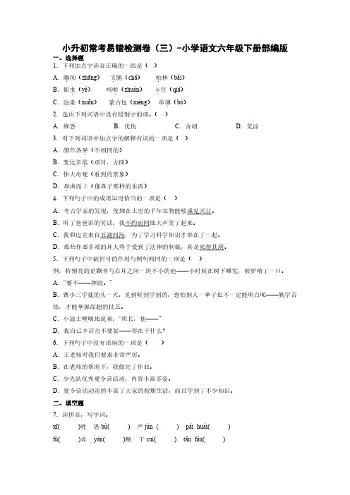 小升初常考易错检测卷(三)-2022-2023学年语文六年级下册(部编版)