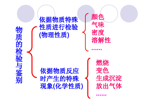 6常见物质的检验