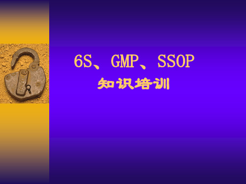 6S、GMP、SSOP知识培训 PPT课件