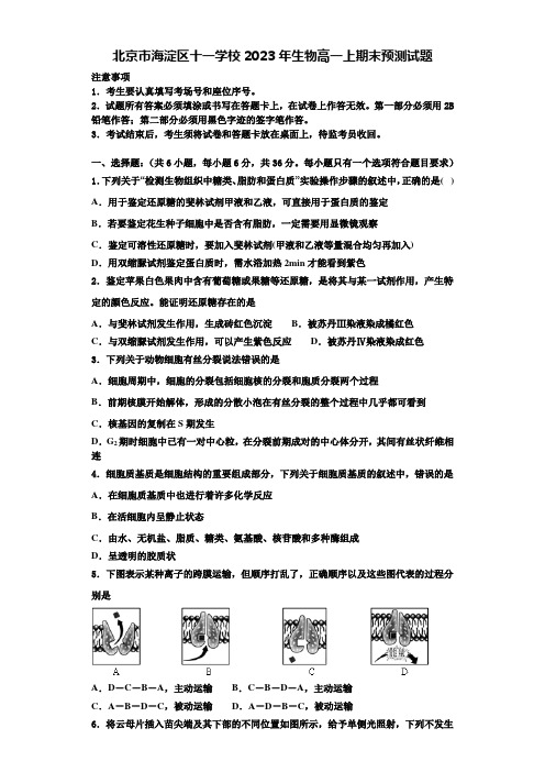 北京市海淀区十一学校2023年生物高一上期末预测试题含解析