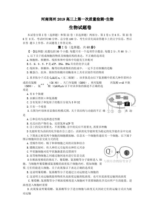 河南郑州2019高三上第一次质量检测-生物