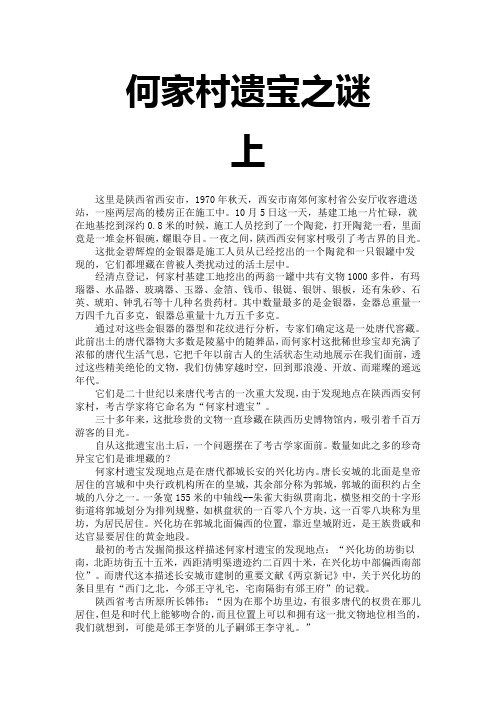 何家村遗宝之谜(上下)(探索·发现2005-96)
