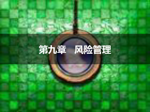 第九章 风险管理