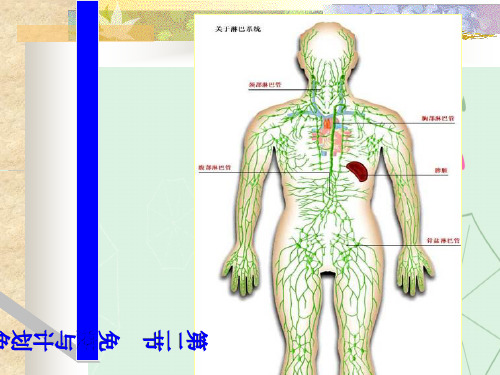 免疫与计划免疫ppt 人教版