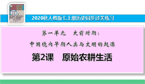 七上历史同步过关练习第2课 原始农耕生活