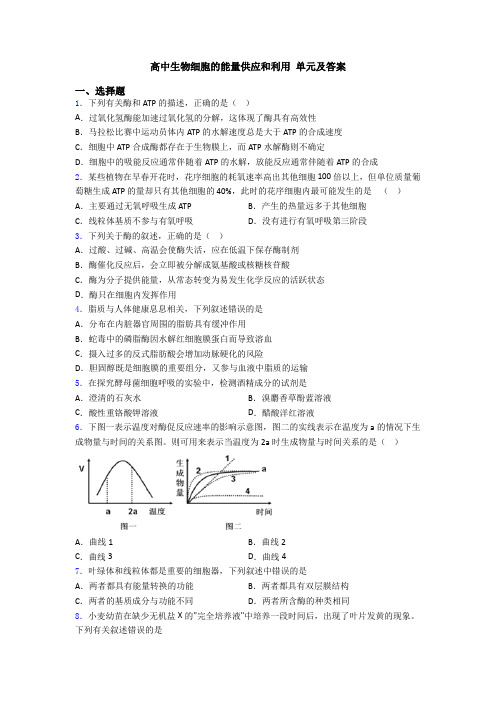 高中生物细胞的能量供应和利用 单元及答案