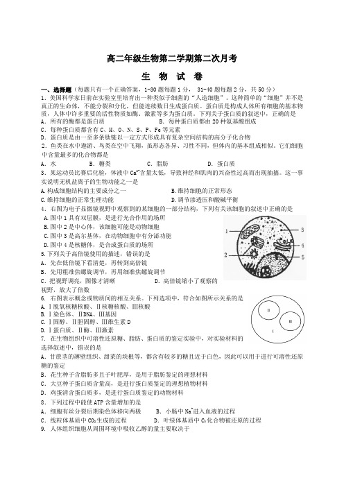 高二年级生物第二学期第二次月考