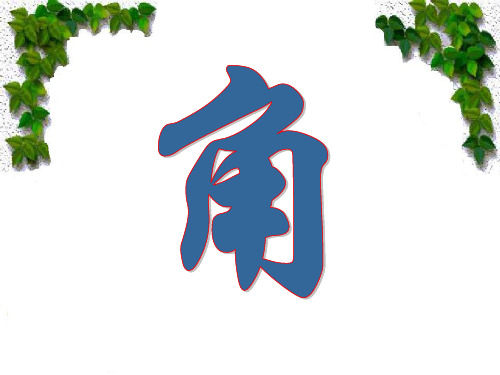 数学:6.2《角》课件3(苏科版七年级上)