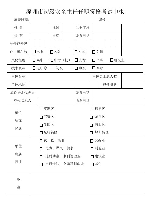 初安申报表