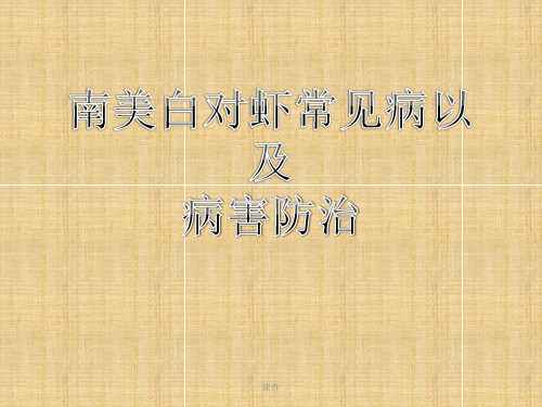 汇总南美白对虾常见疾病及防治.ppt