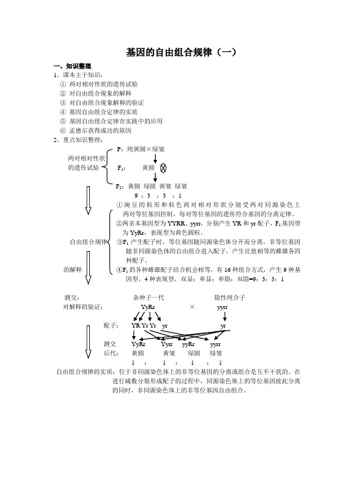 高中生物基因的自由组合定律练习.