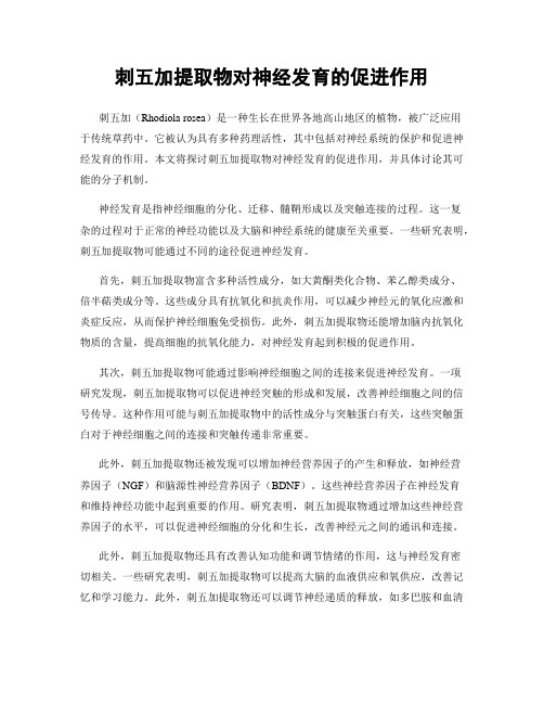 刺五加提取物对神经发育的促进作用