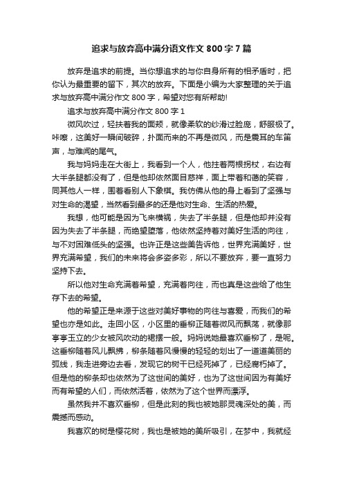 追求与放弃高中满分语文作文800字7篇