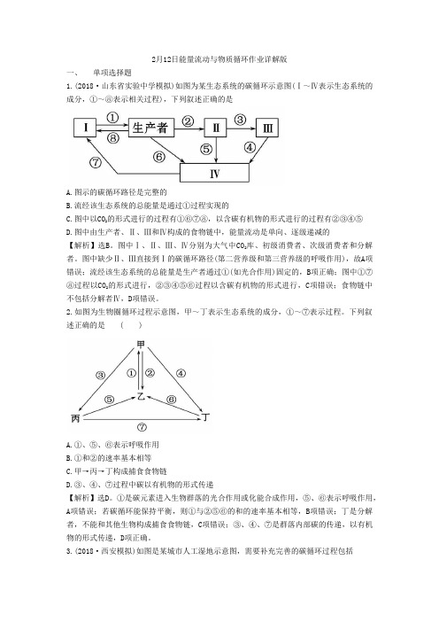 高三生物-能量流动与物质循环作业详解版