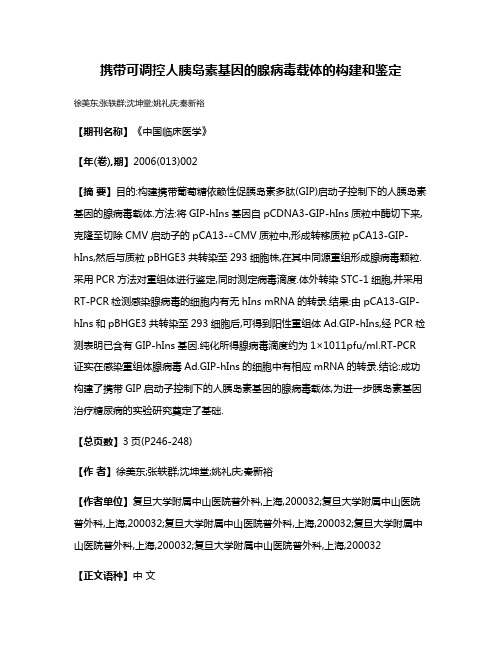 携带可调控人胰岛素基因的腺病毒载体的构建和鉴定