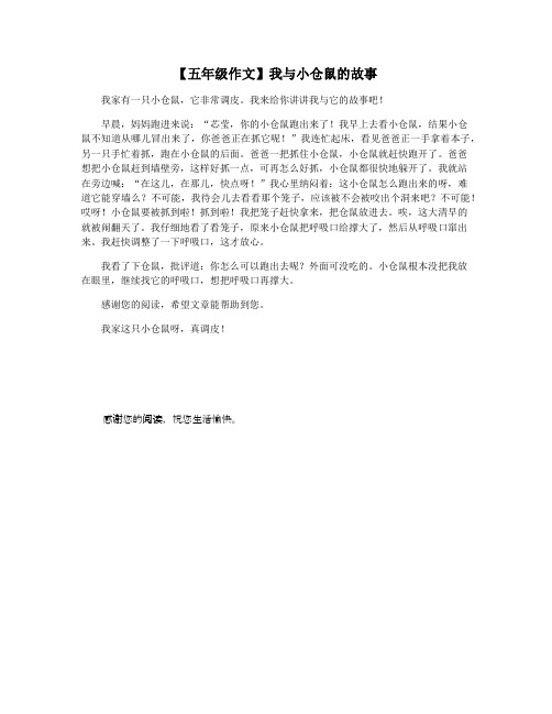 【五年级作文】我与小仓鼠的故事