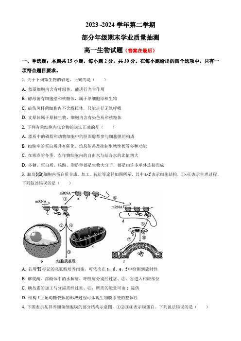 内蒙古自治区锡林郭勒盟2023-2024学年高一下学期7月期末考试 生物含答案