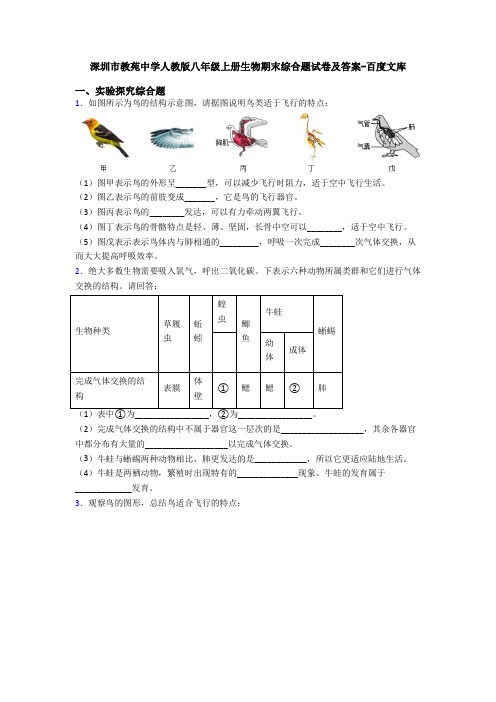 深圳市教苑中学人教版八年级上册生物期末综合题试卷及答案-百度文库