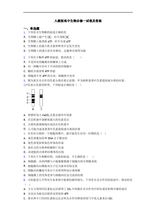 人教版高中生物必修一试卷及答案