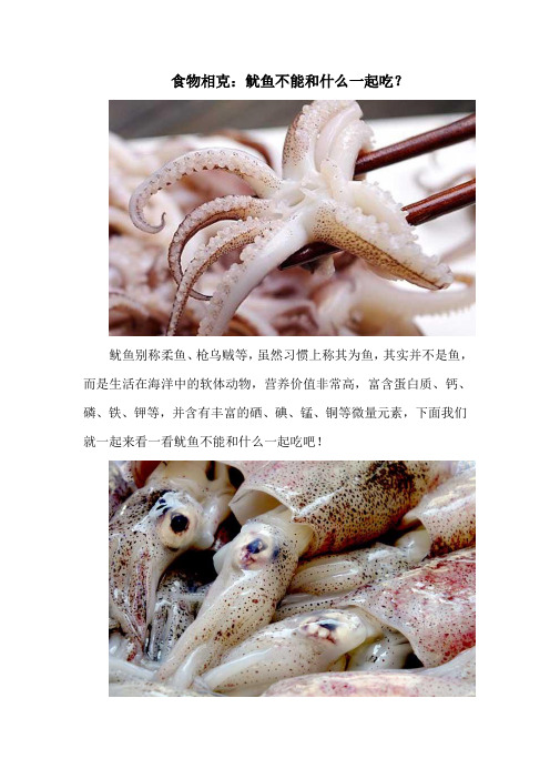 食物相克：鱿鱼不能和什么一起吃？