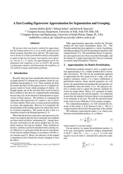 A Fast Leading Eigenvector Approximation for Segmentation and Grouping