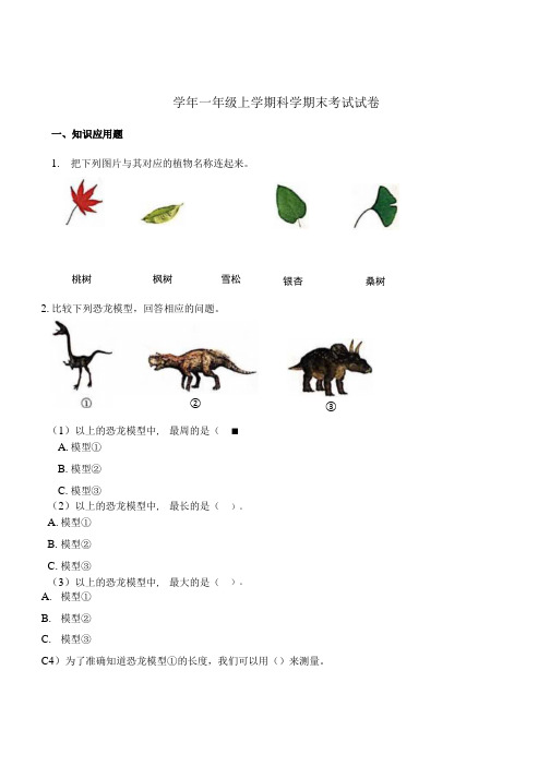 粤教粤科版小学科学一年级上册科学期末考试试卷.docx