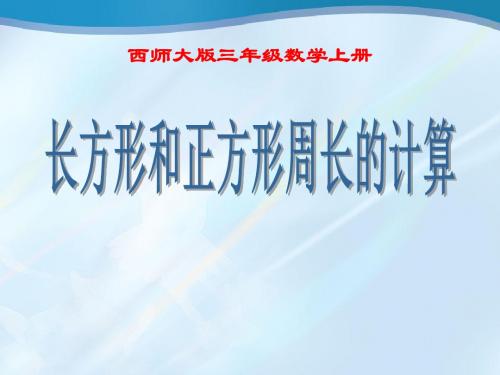 《长方形和正方形周长的计算》周长PPT课件3 (共14张PPT)