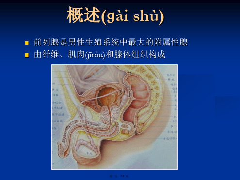 前列腺癌MRI诊断标准及分级知识分享