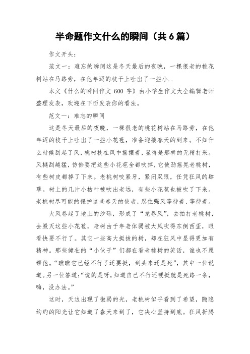 半命题作文什么的瞬间(共6篇)_作文