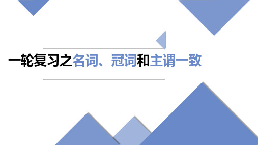 高考英语一轮复习之名词和冠词以及主谓一致课件