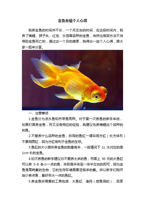 金鱼养殖个人心得