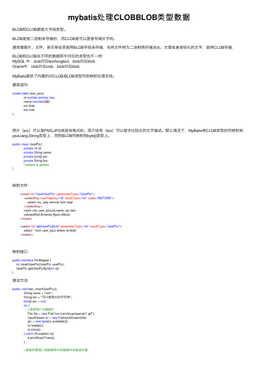 mybatis处理CLOBBLOB类型数据