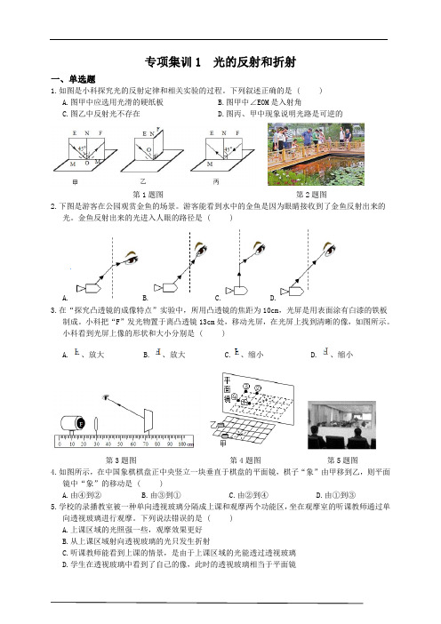 光的反射和折射(含解析)