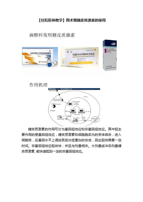 【住院医师教学】围术期糖皮质激素的使用