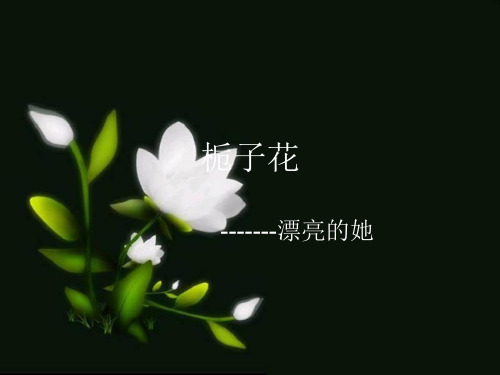 栀子花