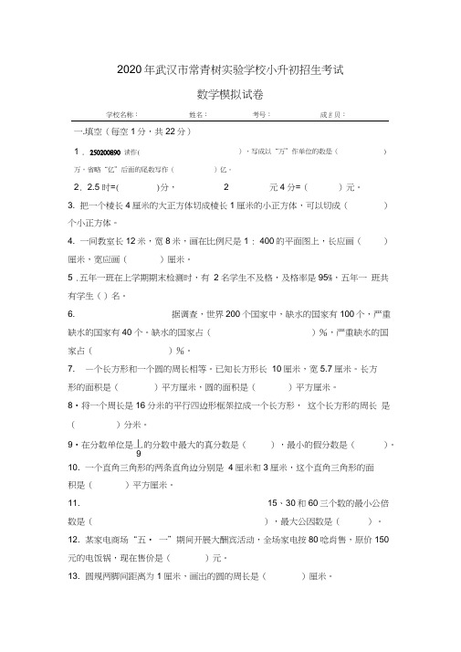 2020年武汉市常青树实验学校小升初招生数学模拟试卷