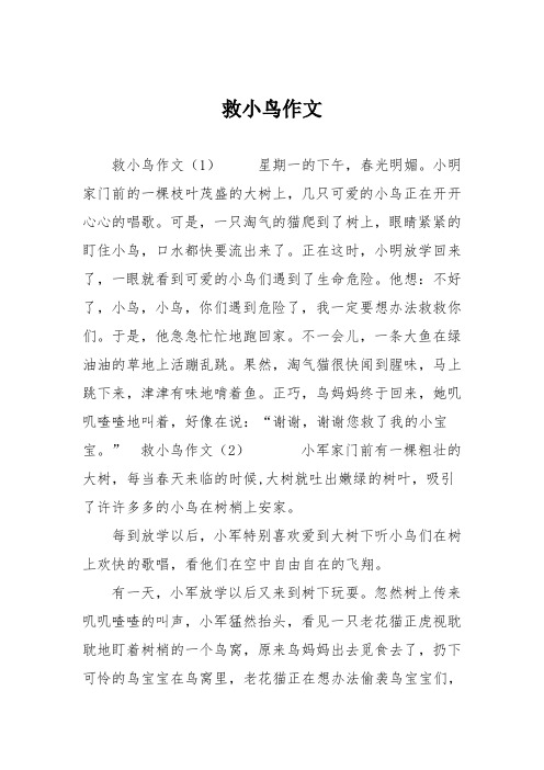 小学二年级作文:救小鸟作文