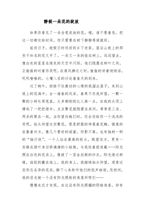 静候一朵花的绽放
