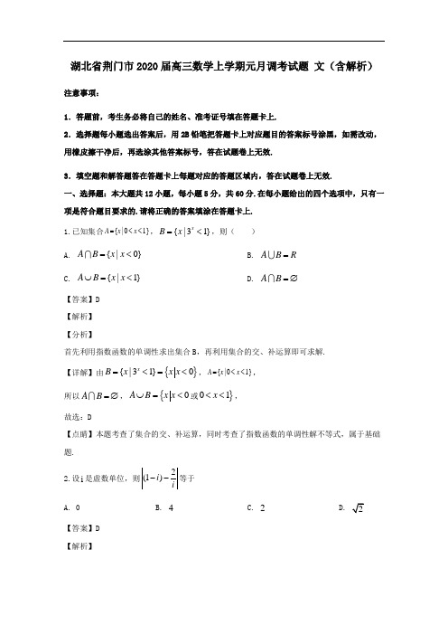 湖北剩门市2020届高三数学上学期元月调考试题文含解析