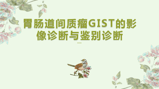 胃肠道间质瘤GIST的影像诊断与鉴别诊断