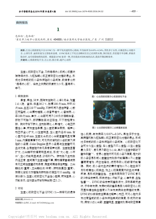 左室心肌致密化不全l例报告