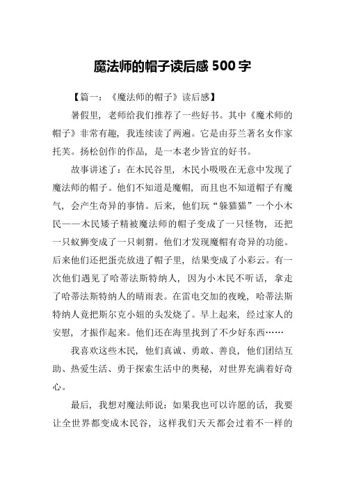 魔法师的帽子读后感500字