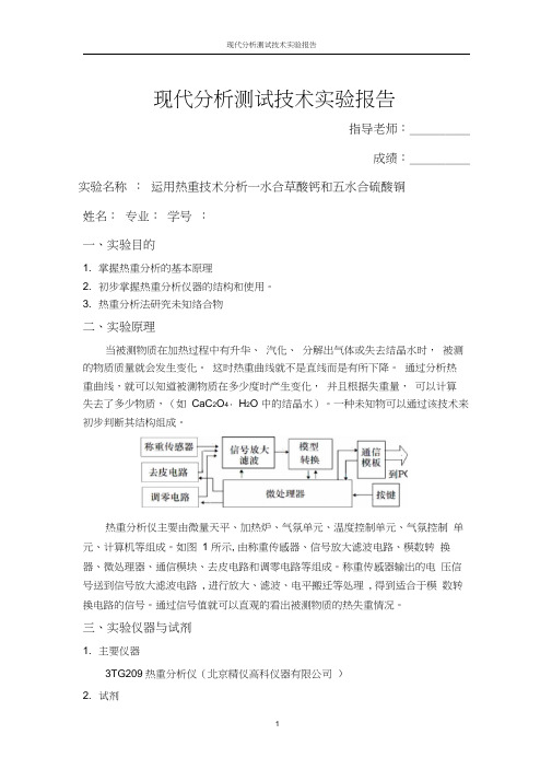 热重实验报告