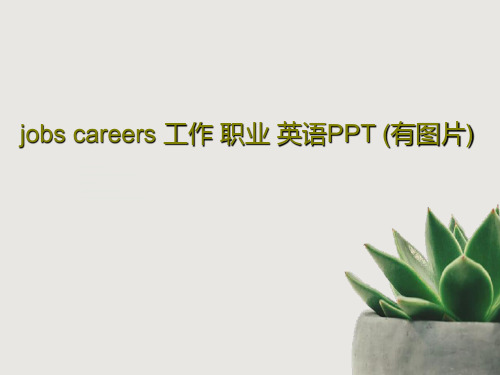 jobs careers 工作 职业 英语PPT (有图片)52页文档