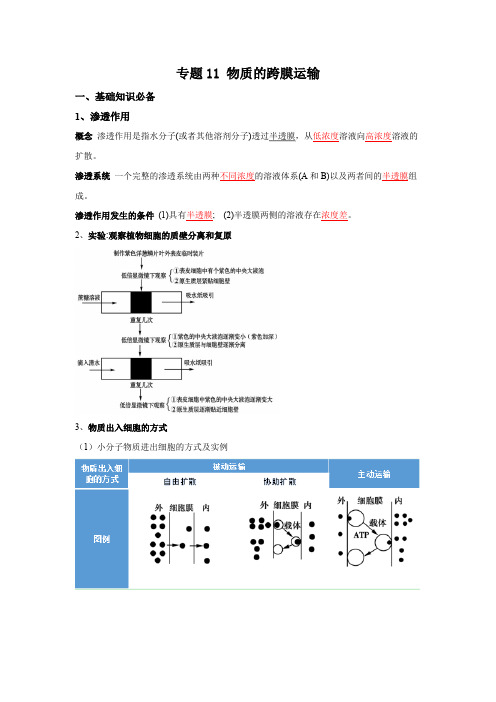 高中生物复习总结 物质的跨膜运输