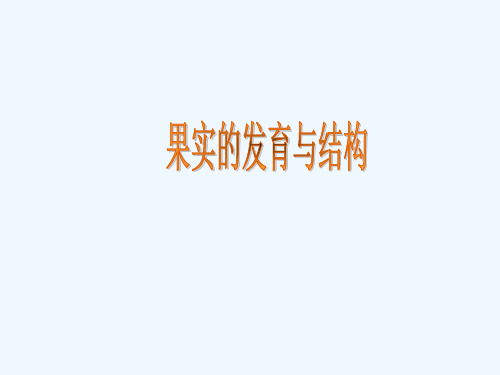 果实的发育与结构 PPT